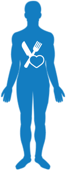 menschlicher Körper menschlicher Körper